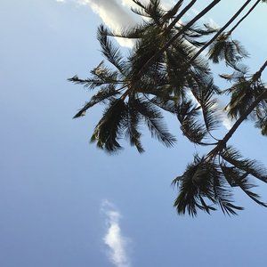 Meet your Posher, me